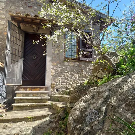 Autenticum Apartment Tolfa