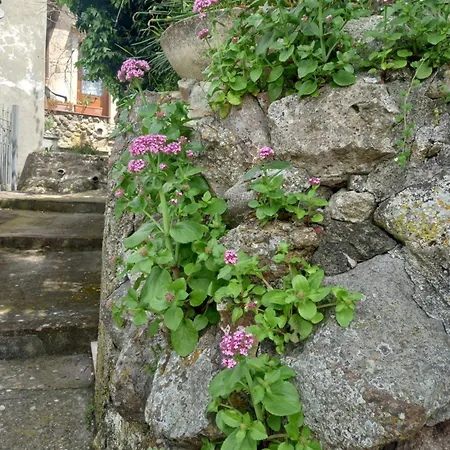 Apartman Autenticum