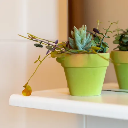 Autenticum Apartmán